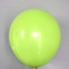 Standard party balloons