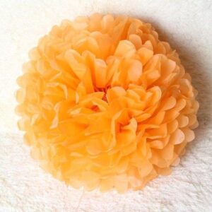 pom-orange-tissue-paper-pom-pom