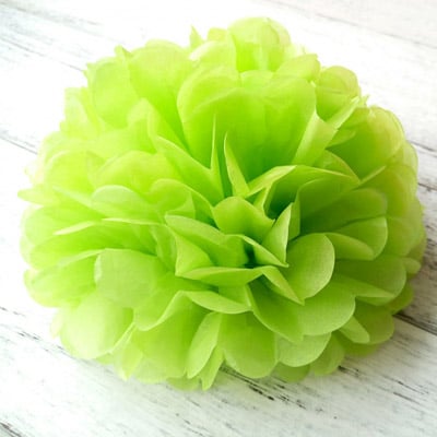 Pom Pom Tissue Flowers Pom Pom Tissue Flowers