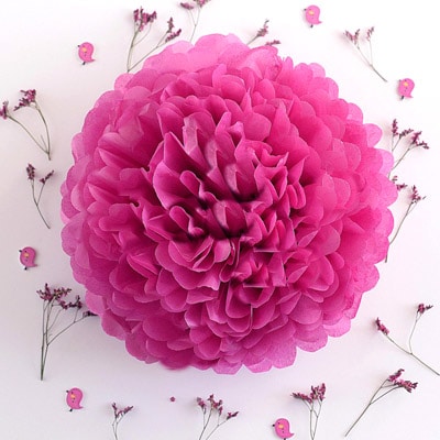 Pom Pom Tissue Flowers Pom Pom Tissue Flowers
