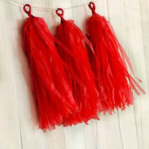 Tissue-Tassel-Garland-Red