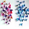 3D Butterfly 3D Butterfly