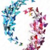 2f3071de746c90d84d1dbfc3cfc96ffb