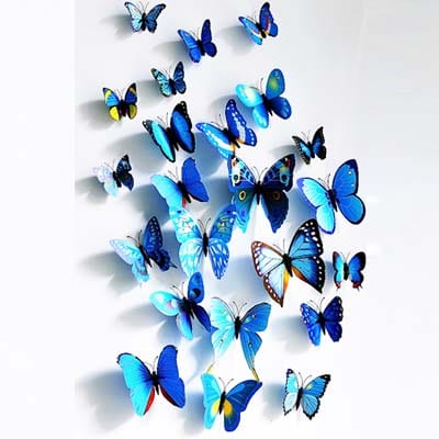 Blue Butterfuly