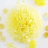 Light Yellow PomPom Tissue Flower Light Yellow PomPom Tissue Flower