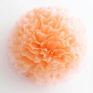 peach PomPom Tissue Flower
