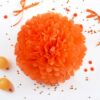 pom-orange-tissue-paper-pom-pom pom-orange-tissue-paper-pom-pom