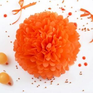pom-orange-tissue-paper-pom-pom