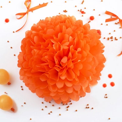 pom-orange-tissue-paper-pom-pom pom-orange-tissue-paper-pom-pom