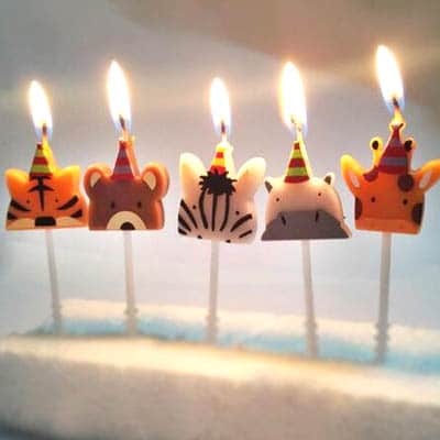 Cake Candles Birthday Craft Candles Cupcake Candles Cake Candles Birthday Craft Candles Cupcake Candles