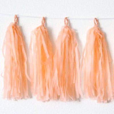 Tissue Tassels Peach Tissue Tassels Peach