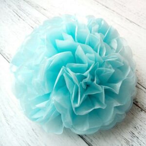 Pom Pom Tissue Flowers