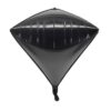black Diamond balloons