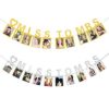 Miss to Mrs photo banner