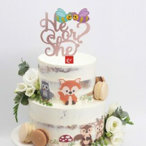 Gender reveal cake topper He or She bees acrylic reusable, Auckland NZ