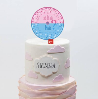 Gender Reveal Cake Topper Gender Reveal Cake Topper