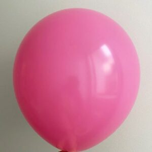 Cherry Pink Standard Party Balloons