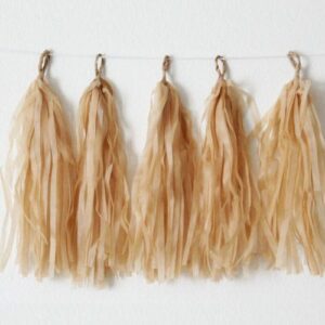 Tissue Papper Tassels Brown