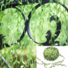 Green Leaf Trim Ribbon Vine main Artificial leaf vine decoration 20 metres, jungle safari party Auckland NZ