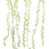 Green Leaf Trim Ribbon Vine4