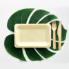 Turtle leaf2