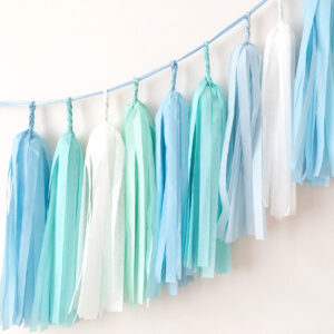 Baby Shower tissue tassel garland baby boy blue 3 packs, Auckland NZ