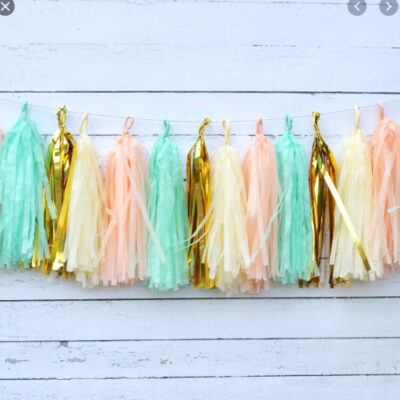 Gender reveal tissue tassel garland style B 4 packs, party decoration Auckland NZ