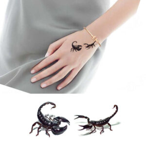 Halloween temporary tattoo strip BRC412 10.5x6cm, Auckland NZ