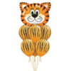 Tiger Head Package Tiger Head Package