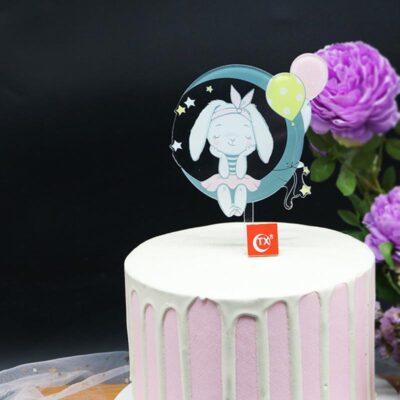 Cake Topper - on the moon Birthday cake topper Moon Rabbit, Auckland NZ