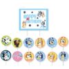 Bluey birthday cake toppers 13 pieces, Auckland NZ