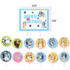 Bluey party cake topper sets