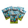 Minecraft birthday party loot bags 10 pieces, Auckland NZ