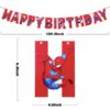 SPIDERMAN BIRTHDAY PARTY banner