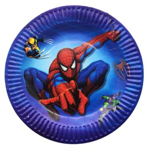 Spiderman birthday party paper plates 9 inch 23cm 10 pieces, Auckland NZ