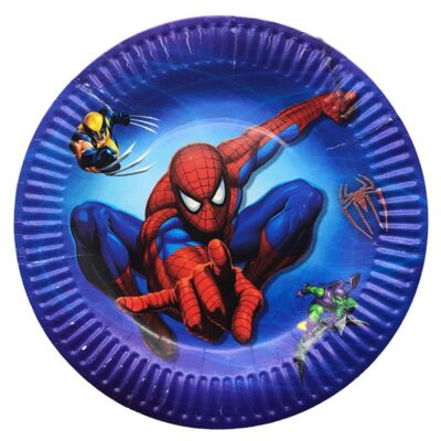 Spiderman Party Paper Plates Spiderman birthday party paper plates 9 inch 23cm 10 pieces, Auckland NZ
