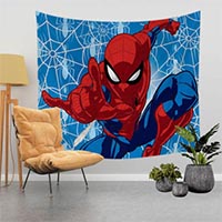 spiderman spiderman