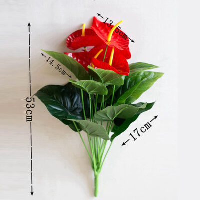 Anthurium flower3