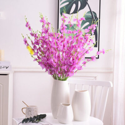 Dancing Lady Orchids Stems Flower Plant pink