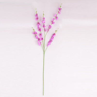 Dancing Lady Orchids Stems Flower Plant pink2