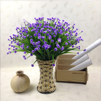 Gypsophila - Purple