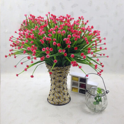Gypsophila - rose red