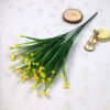 Gypsophila - yellow single