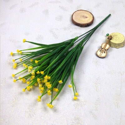 Gypsophila - yellow single