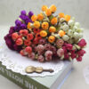 Tiny rose bud on stems-all