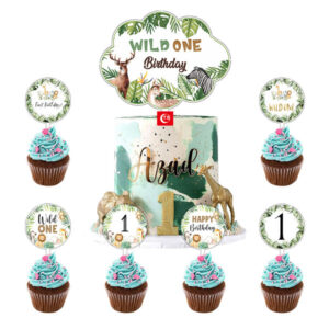 Wild One birthday cake topper 7 pieces acrylic, Auckland NZ