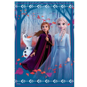 Frozen 2 loot bags 8 pack, party favour Auckland NZ