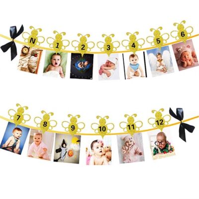 Happy Bee Day12 Month Bee Photo Banner Happy Bee Day 12 month bee photo banner 10x10cm frames, Auckland NZ
