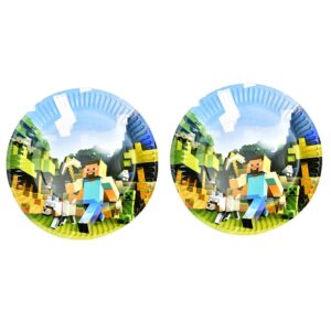 Minecraft birthday party paper plates 7 inch 10 pieces, Auckland NZ