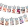 crown 12 Month Bee Photo Banner silver